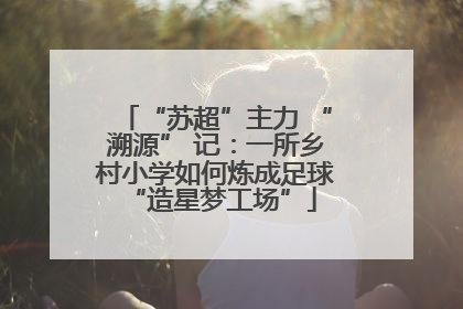 “苏超”主力 “溯源” 记：一所乡村小学如何炼成足球 “造星梦工场”