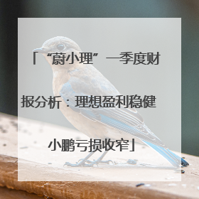 “蔚小理”一季度财报分析：理想盈利稳健 小鹏亏损收窄