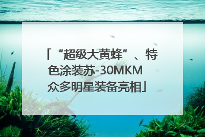 “超级大黄蜂”、特色涂装苏-30MKM 众多明星装备亮相