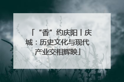 “香”约庆阳丨庆城：历史文化与现代产业交相辉映