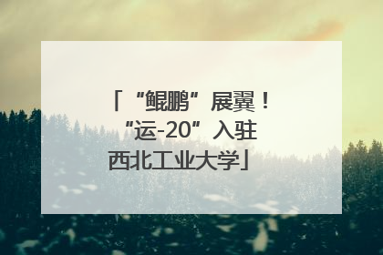 “鲲鹏”展翼！“运-20”入驻西北工业大学