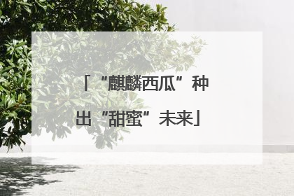 “麒麟西瓜”种出“甜蜜”未来