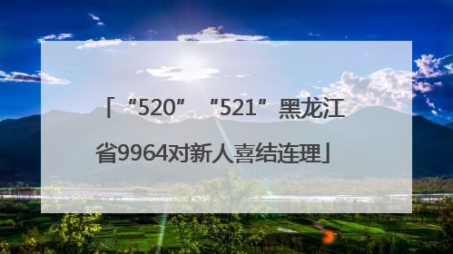 “520”“521”黑龙江省9964对新人喜结连理