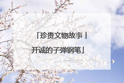 珍贵文物故事丨开诚的子弹钢笔
