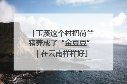 玉溪这个村把荷兰猪养成了“金豆豆”｜在云南样样好