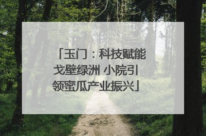 玉门：科技赋能戈壁绿洲 小院引领蜜瓜产业振兴