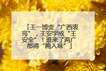 王一博变“广西表哥”，王安宇成“王安全”！谁来了两广都得“腌入味”