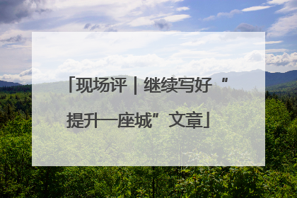 现场评｜继续写好“提升一座城”文章