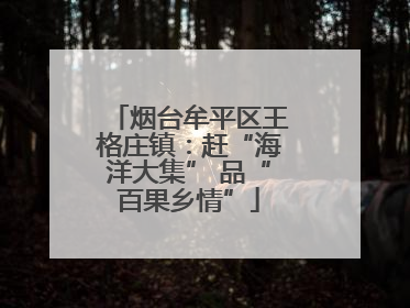 烟台牟平区王格庄镇：赶“海洋大集” 品“百果乡情”