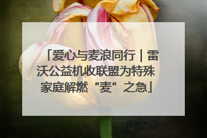 爱心与麦浪同行｜雷沃公益机收联盟为特殊家庭解燃“麦”之急