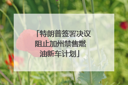 特朗普签署决议 阻止加州禁售燃油新车计划