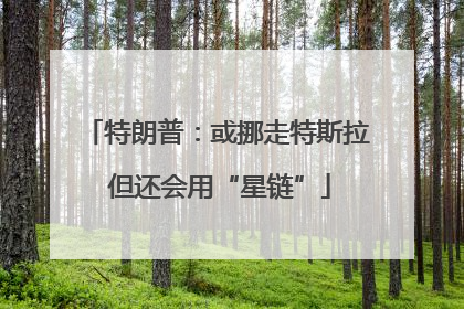 特朗普：或挪走特斯拉 但还会用“星链”