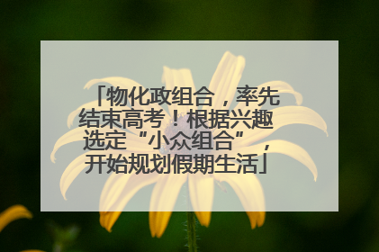 物化政组合，率先结束高考！根据兴趣选定“小众组合”，开始规划假期生活