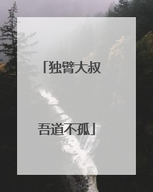 独臂大叔 吾道不孤