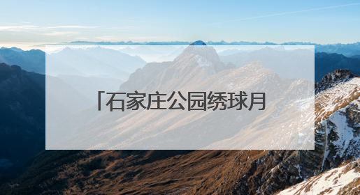 石家庄公园绣球月季竞相绽放 市民乐享夏日缤纷美景