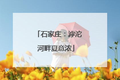 石家庄：滹沱河畔夏意浓
