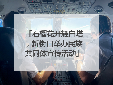 石榴花开耀白塔，新街口举办民族共同体宣传活动