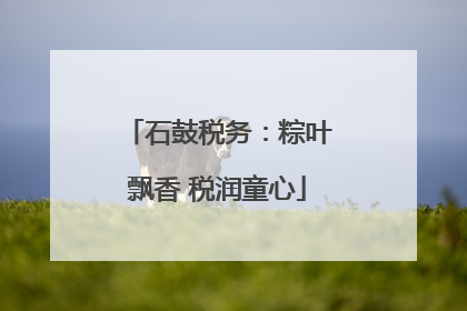 石鼓税务：粽叶飘香 税润童心