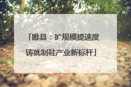 睢县：扩规模提速度 铸就制鞋产业新标杆