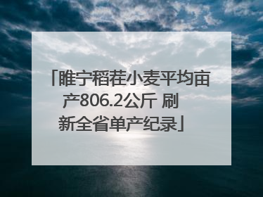 睢宁稻茬小麦平均亩产806.2公斤 刷新全省单产纪录