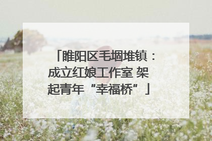 睢阳区毛堌堆镇：成立红娘工作室 架起青年“幸福桥”