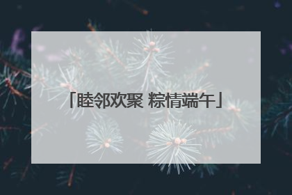 睦邻欢聚 粽情端午