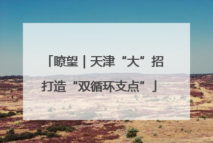 瞭望｜天津“大”招打造“双循环支点”