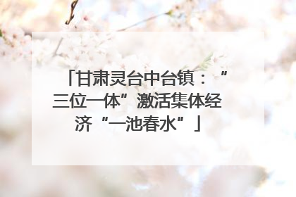 甘肃灵台中台镇：“三位一体”激活集体经济“一池春水”