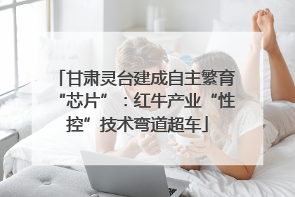 甘肃灵台建成自主繁育“芯片”：红牛产业“性控”技术弯道超车