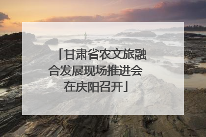 甘肃省农文旅融合发展现场推进会在庆阳召开