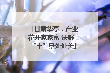 甘肃华亭：产业花开家家富 沃野“丰”景处处美