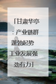 甘肃华亭：产业链群蓬勃起势 工业发展强劲有力