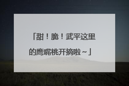 甜！脆！武平这里的鹰嘴桃开摘啦～