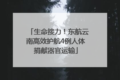 生命接力！东航云南高效护航4例人体捐献器官运输