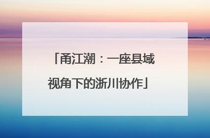 甬江潮：一座县域视角下的浙川协作