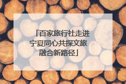 百家旅行社走进宁夏同心共探文旅融合新路径