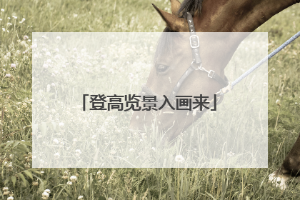 登高览景入画来