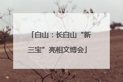 白山：长白山“新三宝”亮相文博会