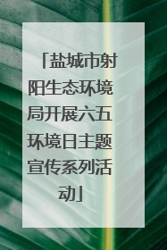 盐城市射阳生态环境局开展六五环境日主题宣传系列活动