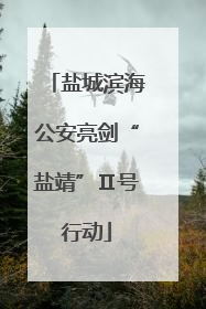 盐城滨海公安亮剑“盐靖”Ⅱ号行动