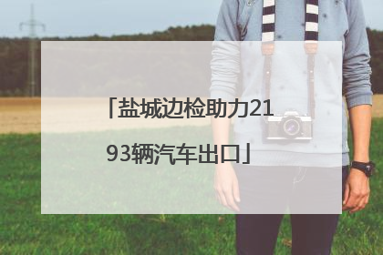 盐城边检助力2193辆汽车出口