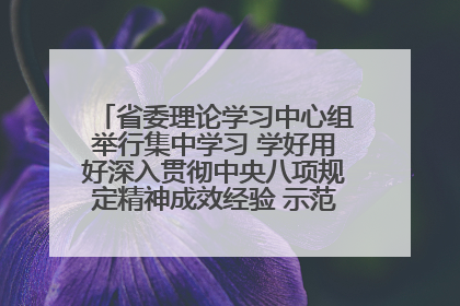 省委理论学习中心组举行集中学习 学好用好深入贯彻中央八项规定精神成效经验 示范带头持续推动全省学习教育走深走实