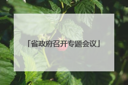 省政府召开专题会议