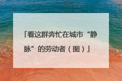 看这群奔忙在城市“静脉”的劳动者（图）