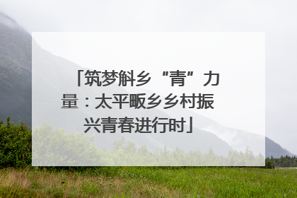 筑梦斛乡“青”力量：太平畈乡乡村振兴青春进行时