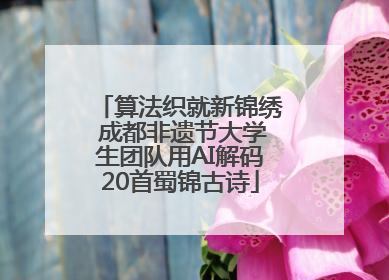 算法织就新锦绣 成都非遗节大学生团队用AI解码20首蜀锦古诗