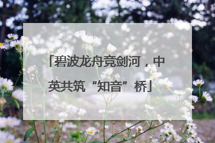 碧波龙舟竞剑河，中英共筑“知音”桥