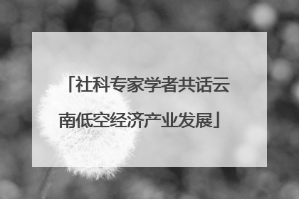 社科专家学者共话云南低空经济产业发展