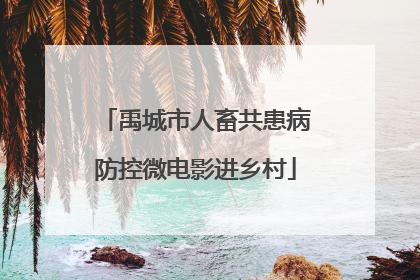 禹城市人畜共患病防控微电影进乡村