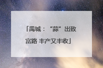 禹城：“蒜”出致富路 丰产又丰收